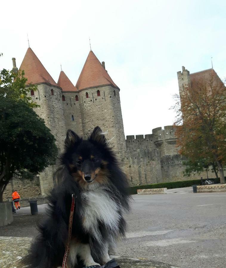 Chambre Privee Proche De La Cite Carcassonne Dış mekan fotoğraf